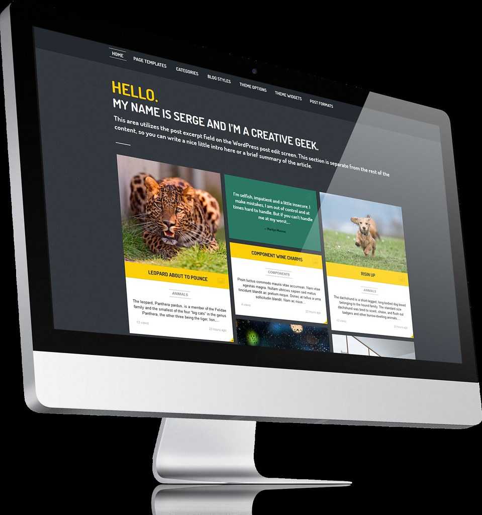 Thème Wordpress pas cher